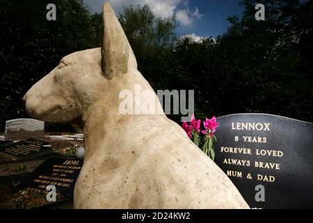 Cimitero degli animali di Silvermere Haven, Cobham, Surry, Regno Unito. Foto Stock