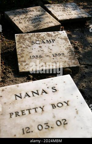 Cimitero degli animali di Silvermere Haven, Cobham, Surry, Regno Unito. Foto Stock