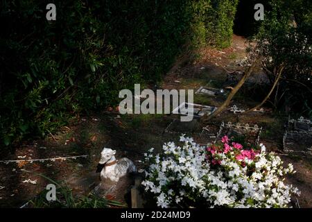 Cimitero degli animali di Silvermere Haven, Cobham, Surry, Regno Unito. Foto Stock