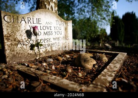 Cimitero degli animali di Silvermere Haven, Cobham, Surry, Regno Unito. Foto Stock