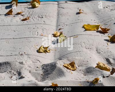 Foglie d'autunno caduto sulla sabbia bianca del Beach volley campo in un parco in autunno Foto Stock