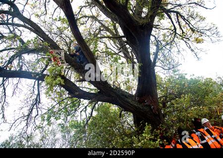 Warwickshire, Regno Unito. 05 ottobre 2020. I manifestanti HS2 si infrangono attraverso le baricate per attirare l'attenzione sulla distruzione di un albero dell'anno 2015 di 250 anni, l'albero di Cubbington Pear 05 ottobre 2020. Un manifestante riesce a sbirciare dietro la sicurezza per salire l'albero dove un banner Stop HS2 è ondulato Credit: Denise Laura Baker/Alamy Live News Foto Stock