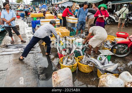 PHU QUO, VIETNAM - 06 agosto 2019: Pescatori che smistano attraverso le loro catture al porto di Phu Quoc Foto Stock