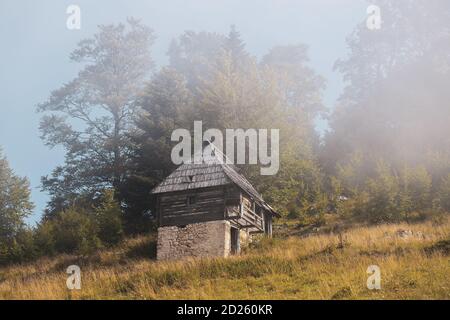 Piccola vecchia capanna sulla collina circondata da verdi e. alberi Foto Stock