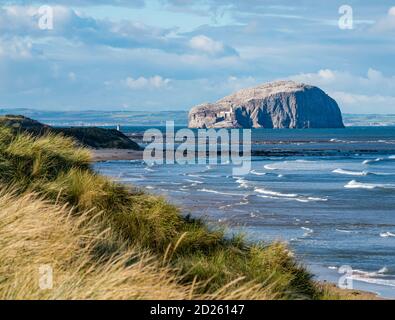 East Lothian, Scozia, Regno Unito, 6 ottobre 2020. Regno Unito Meteo: Autunno tempo a Ravensheugh Sands con una vista della colonia di gannet Bass Rock bianco frizzante al sole in una giornata frizzante. Le gannette devono partire subito dopo la loro stagione di allevamento Foto Stock