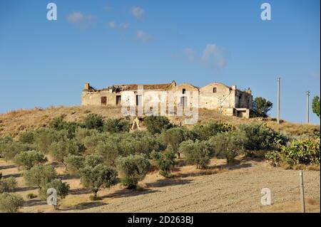 Italia, Basilicata, oliveto e masseria, antico casale Foto Stock