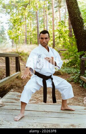 Uomo che pratica il karate in natura Foto Stock
