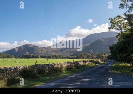 Tranquilla strada di campagna Scozia Isola di Mull sul Benmore Tenuta che corre tra Loch na Keal e Loch Ba con il sole della mattina presto Foto Stock