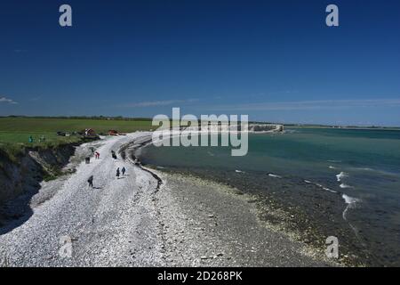 Scena da Sangstrup Klint in Danimarca Foto Stock