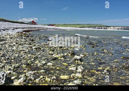 Scena da Sangstrup Klint in Danimarca Foto Stock