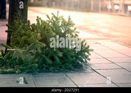 Albero di natale scartato dopo la festa sul marciapiede Foto Stock