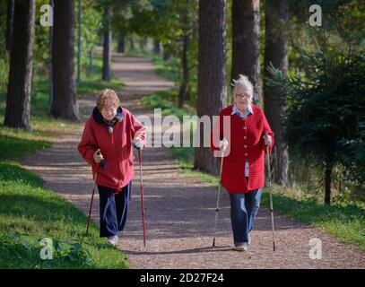 Due donne anziane sono impegnate nel nordic walking sul sentiero nella foresta: Kratovo, Russia Foto Stock
