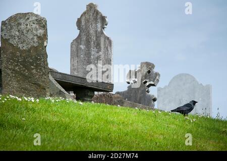 Cimitero: Viaggiando attraverso l'Irlanda del Sud. Foto Stock