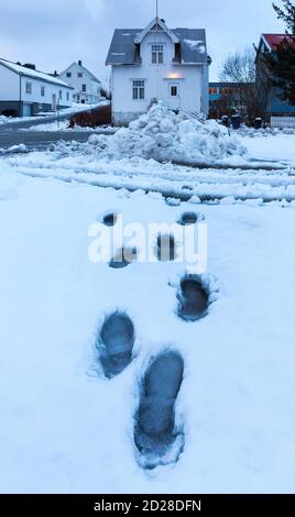 Kabelvag, Arcipelago di Lofoten, Contea di Nordland, Norvegia, Circolo polare Artico, Europa Foto Stock