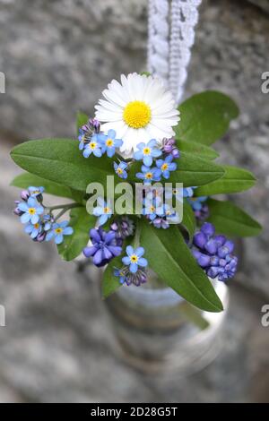 piccolo bouquet di margherita e non dimenticare di me fiori dentro bottiglia di vetro Foto Stock