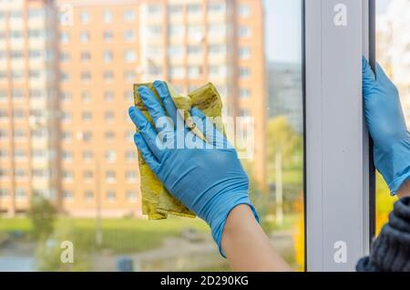 la mano della donna in guanti blu lava la finestra con un Speciale panno giallo in un giorno di autunno soleggiato Foto Stock