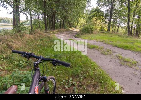 Ciclismo nella foresta, bici nera su uno sfondo di foresta, Russia, regione di Kaliningrad, 19 settembre 2020 Foto Stock