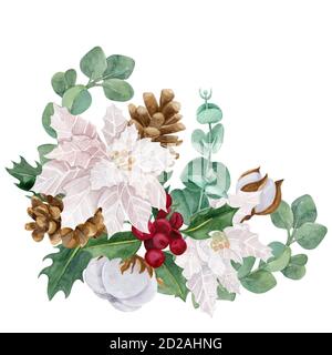 Agrifoglio, cotone e poinsettia isolati su sfondo bianco. Foto Stock
