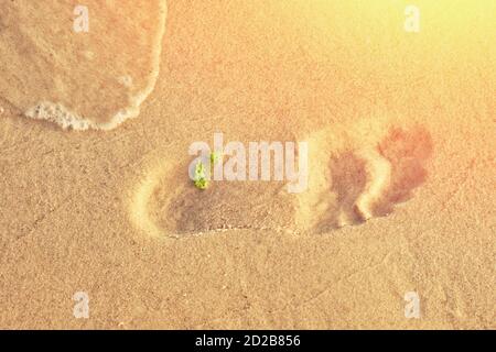 Il sentiero dai piedi degli uomini sulla sabbia vicino il mare Foto Stock