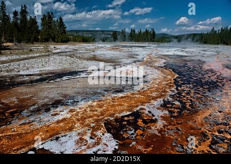 Tappetini batterici, Upper Geyser Basin, Yellowstone National Park, Wyoming, Stati Uniti Foto Stock