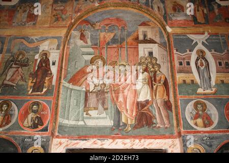 Monastero di Snagov, Contea di Ilfov, Romania. Interno della chiesa del 15 ° secolo. "La presentazione dell'affresco della Beata Vergine Maria". Foto Stock