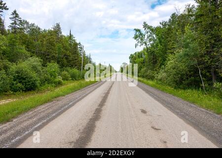 Strada di campagna alberata e diritta Foto Stock