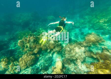 Uomo snorkeling in costume da immersione nella barriera corallina di Surin Isole, Mare delle Andamane, a nord di Phuket, Phang Nga in Thailandia. Nuoto in Ko Surin Marine Foto Stock