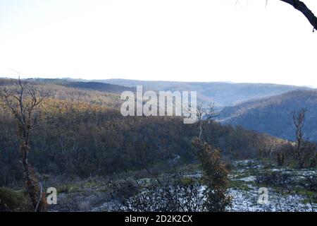 vista sulle montagne e la ricrescita della flora bruciata Foto Stock