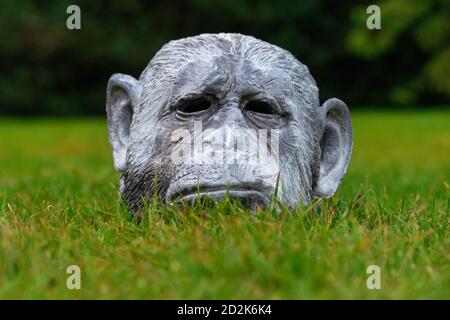 Londra, Regno Unito. 06 ottobre 2020. I primati fanno parte della scultura uomo-animali-mostri di Patrick Goddard durante la mostra Fregio scultura 2020 al Regent's Park. Credit: SOPA Images Limited/Alamy Live News Foto Stock