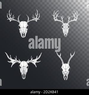 Serie vettoriale di teschi di animali cornati disegnati a mano: Caprioli, stag e alci su sfondo scuro. Silhouette bianche. Per la progettazione, tatuaggio o magico cra Illustrazione Vettoriale
