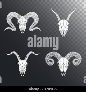 Serie vettoriale di teschi di animali cornati disegnati a mano: Montoni e capre su sfondo scuro. Silhouette bianche. Per voi design, tatuaggio o magic craft., VECTO Illustrazione Vettoriale