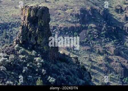 Chimney Rock, Crooked Wild e Scenic River Corridor, Lower Crooked River National Back Country Byway, Oregon Foto Stock