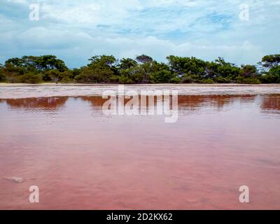 Un lago di sale rosso nell'isola di Francisky nell'Arcipelago di Los Roques (Venezuela). Foto Stock