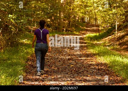 Una donna che indossa jeans con sospetti sta camminando da sola in un sentiero escursionistico coperto da foglie d'autunno caduto. Il sentiero attraversa una foresta ed è sha Foto Stock