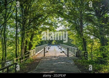 Crok o' Lune bridge Lancashire Regno Unito Foto Stock