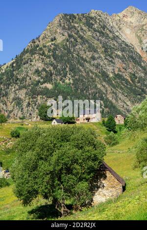 granjas de biadós, Valle de Añes Cruces, parque natural Posets-Maladeta, Huesca, Cordillera de los Pirineos, Spagna Foto Stock