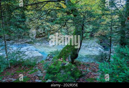 La Ripareta, Cañon de Añisclo, parque nacional de Ordesa y Monte Perdido, comarca del Sobrarbe, Huesca, Aragón, cordillera de los Pirineos, Spagna Foto Stock