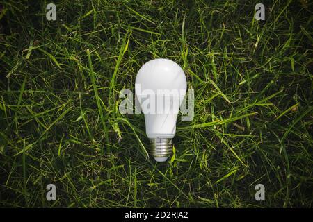 Vista dall'alto della lampada sull'erba verde, concetto di efficienza energetica Foto Stock