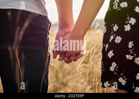 Vista posteriore della coppia anonima di raccolto tenendo teneramente le mani mentre in piedi in prato asciutto in estate il giorno di sole Foto Stock