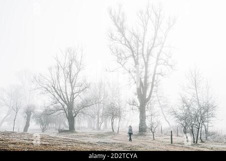 Lontano irriconoscibile donna in outerwear passeggiando da sola attraverso boschi nebbie senza foglie con erba gelo in freddo giorno d'inverno in campagna a Bellver de Cerdaña , Catalunya Foto Stock