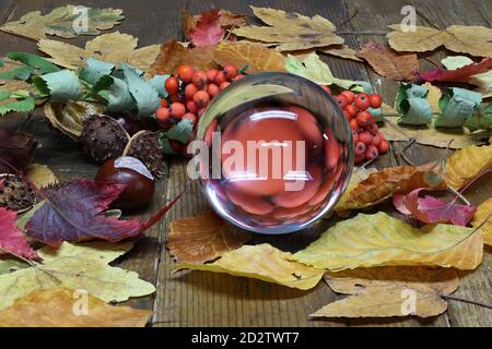 Autunno ancora vita con palla di vetro, foglie e bacche Foto Stock