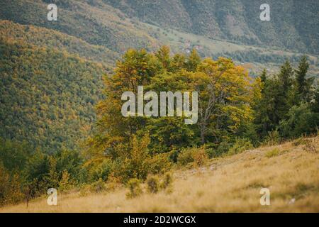 Vista delle montagne rocciose a Vlasic, in Bosnia, in una giornata buia Foto Stock