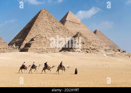 Giro in cammello al complesso piramidale, Giza, Egitto Foto Stock