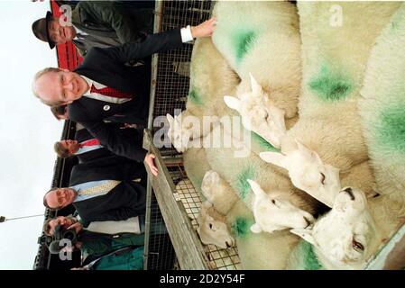 Il leader conservatore William Hague sulla campagna anti-devoluzione sentiero nel Galles meridionale oggi (mer) incontra pecore in vendita al Newport Cattle Market. Vedere la campagna di DEVOLUZIONE della storia di PA in Galles. Foto di Barry BATchelor/PA Foto Stock