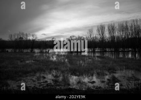 Alluvione del po, Mantova, Italia Foto Stock