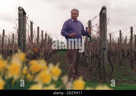 David Millington di Wroxeter Roman Vineyard ispeziona le sue vigne presso la sua vigna vicino allo storico sito romano di Shropshire. Il Sig. Millington, che vende i suoi vini da sette anni, è quello di lanciare una sfida di corte ad una decisione di pianificazione che potrebbe impedirgli di vendere i vini della sua vigna in futuro. Sta mettendo in discussione la decisione del Segretario di Stato di classificare la viticoltura come attività industriale. IMMAGINE DAVID JONES/PA. Vedere PA storia AMBIENTE vino Foto Stock