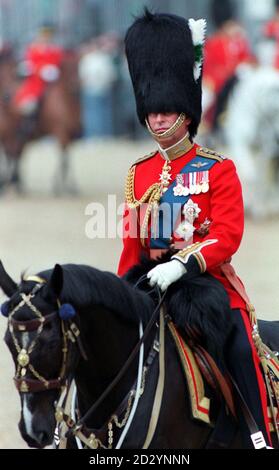 Il Principe del Galles, il colonnello, le Guardie gallesi prendono il saluto alla Rivista del colonnello presso le Guardie Cavallo, Londra. 05/03/02 il Principe del Galles, colonnello delle Guardie gallesi, saluta alla Rivista del colonnello presso le Guardie Cavallo, Londra. Le Guardie gallesi devono essere dislocate in Galles per la prima volta da quando sono state formate 87 anni fa, il Ministero della Difesa ha annunciato Martedì 5 marzo 2002. Il Ministro delle forze Armate Adam Ingram ha annunciato che il 1° Battaglione Guardie gallesi sarà inviato alla RAF St Athan nella vale di Glamorgan, nel Galles del Sud, nel maggio 2003. Le Guardie gallesi sono state formate sopra Foto Stock