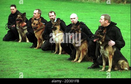 (Da sinistra a destra) PC Cris Mitrovic con il cane Bosun, PC Barry Barlow con il cane Zac, PC Graham Lant con il cane Henry, PC Neil Gleeson con il cane Bronson e PC Harry Kinght con il cane Abe, presso la Scuola di formazione HQ della polizia Essex Dog Sezione, a Sandon vicino Chelmsford, Ad Essex ieri (Mercoledì). Un sergente di polizia e due costables, con base al quartier generale Essex Police Dog , sono stati oggi (Giovedi) trovato colpevole di crudeltà per i cani di polizia. Ma un magistrato a Chelmsford, Essex , ha respinto accuse simili contro un ispettore della polizia. Foto di Sean Dempsey. Vedere PA COURTS Dogs. Foto Stock