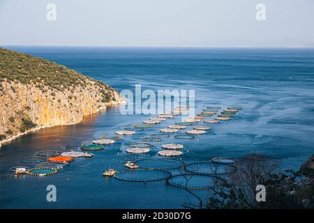 Pesce di mare fattoria. Gabbie per allevamento ittico dorado e seabass. I lavoratori alimentano il pesce un foraggio. Fotografia di stagione. Foto Stock