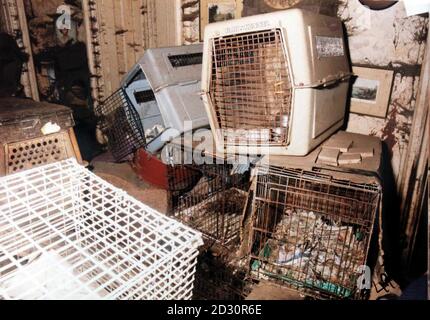 Casa di Caroline Gatheral a Sockburn Hall, Neasham, nei pressi di Darlington. Un giudice Crufts ha ammesso 83 accuse di crudeltà animale. * il Bishop Auckland Magistrates Court ha sentito che quando gli ispettori e gli ufficiali di polizia della RSPCA hanno visitato la casa di Caroline Gatheral di 65 anni, che ha condiviso con la sorella di 63 anni Mary, hanno trovato più di 80 cani che vivono nello squalor. Mary Gatheral ammise anche le 83 accuse di causare sofferenze inutili agli animali. Foto Stock